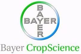 Bayer